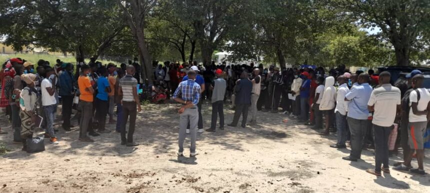 ohangwena angolans Ovaangola mOhangwena va pewa omaufemba