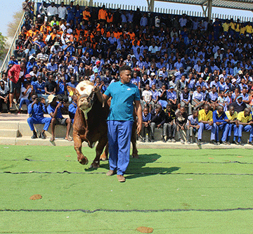 okakarara trade fair Okakarara Trade Fair to be bigger, better