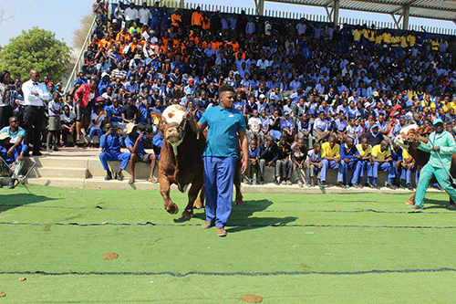 okakarara trade fair Okakarara Trade Fair to be bigger, better