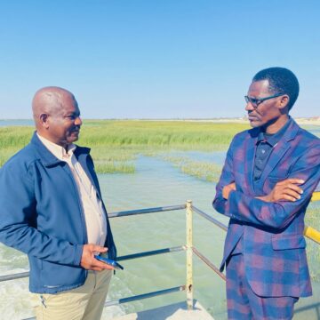 olushandja Aanafaalama ya mona ekwatho lyomeya