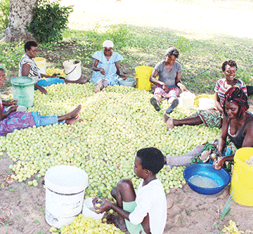 omagongo Traditional authorities take omagongo recess