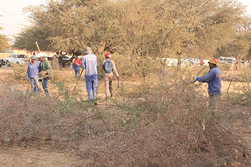 omatando shrubs Ongwediva urges residents to preserve trees