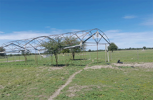 ondonga222 OTA plans to produce sufficient food for drought season