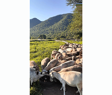 otavi 2 Otavi determined to break aid dependency