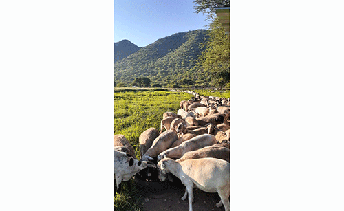 otavi 2 Otavi determined to break aid dependency