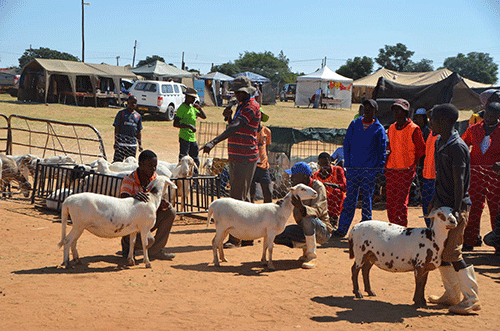 otjinene Otjinene tjape ovaÞi vatjo vo Covid ape ombakero oitjavari ndjevepwire