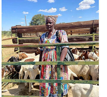 otjozondjupa Governor deplores rampant stock theft
