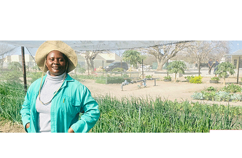 page 15 10 Ongha VTC otayi shi enditha nawa muunamapya