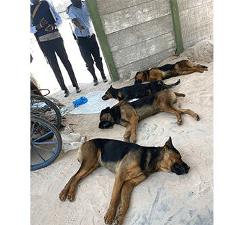 page 17 1 Oyeene yoombwa ya londondhwa ye dhi kwate nawa