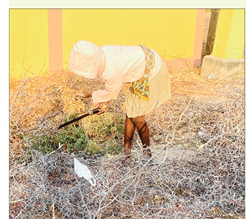 Aanasikola  taya tyaya iikuniomanga  ye li mokafundho