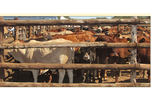 page 2 1 Okapapu kOmahetjo make yendayenda