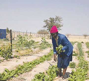 page 21 Omunafaalama gwiikwamboga te shi enditha nawa