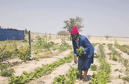 page 21 Omunafaalama gwiikwamboga te shi enditha nawa