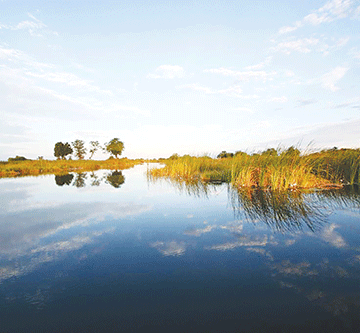 park Pressure group demands fisherman’s death investigation