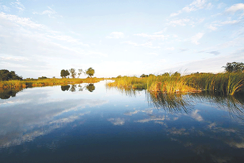 park Pressure group demands fisherman’s death investigation