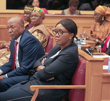 parliament 6 Global parliament gender gap persists