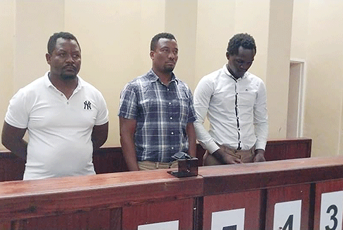 poaching Alleged poaching soldiers denied bail