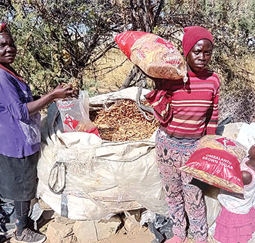 pods 1 Pod thieves upset collectors