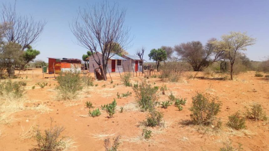 poisoning The basics of plant poisoning