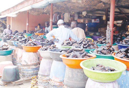 protest Nigerians protest soaring cost of living