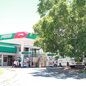 puma Puma, Nabta land ruling postponed