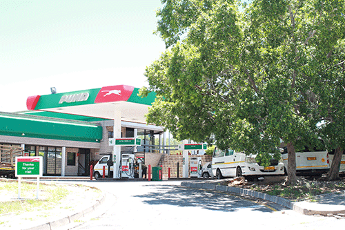 puma Nabta loses Puma land fight