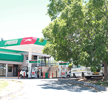 puma Puma, Nabta land ruling drags on