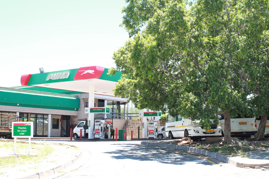 puma Puma, Nabta land ruling postponed