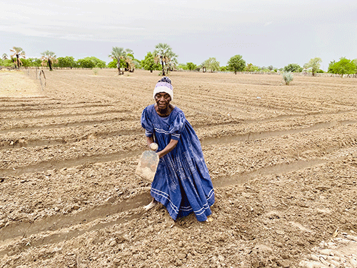 rain 1 Rain brings hope to northern farmers