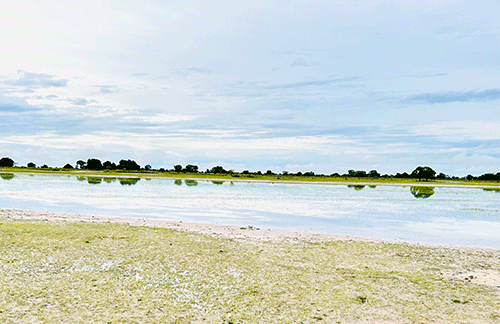 rain Omvula oyindji ya tegelelwa konooli