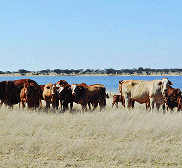 rainy season bad Good rainy season can be bad experience for you