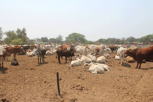 resettlement policy Govt keen on transparent resettlement policy