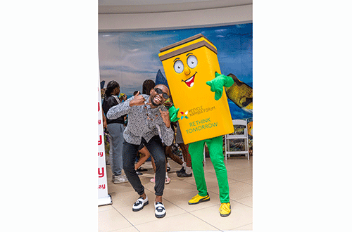 rubbish ronnie 2 Recycle with Rubbish Ronnie