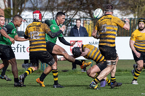 rugby Brandt, Izaaks score short rugby stints