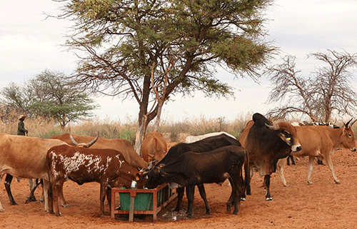 rural Uutoni calls for reduction on agricultural reliance …as land tenure system remains a prohibitive factor