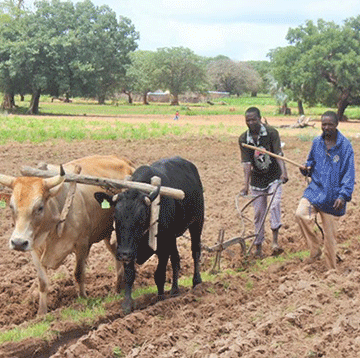 rural Mutorwa: Transport is fundamental