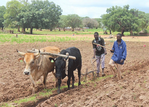 rural Mutorwa: Transport is fundamental