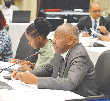 sadc 1 SADC PF adopts motion on BRICS cooperation