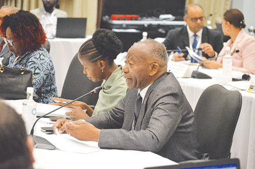 sadc 1 SADC PF adopts motion on BRICS cooperation