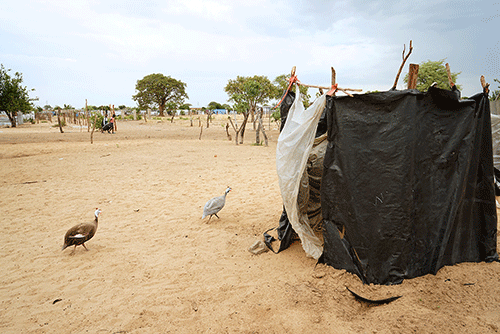 sanitation 1 Govt vows to scale up sanitation efforts