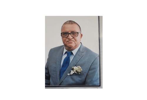 scholtz 2 Opinion – Justification for import substitution industrialisation