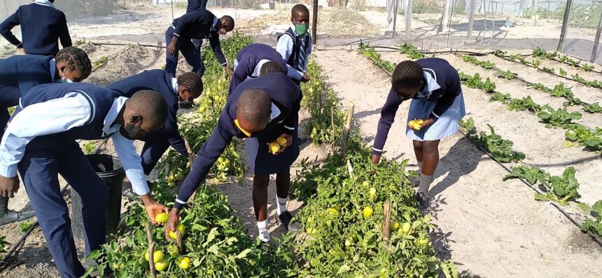 school 2 Oshinamumwe sha findana N$30 000 molwoshikunino shiwa