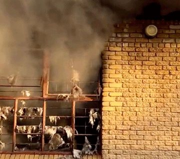 school Arson, theft at school for visually impaired