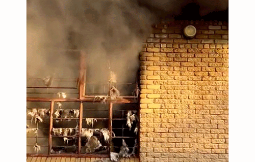 school A mangwa pethimbo ta ningi onkambadhala yeikuthomwenyo