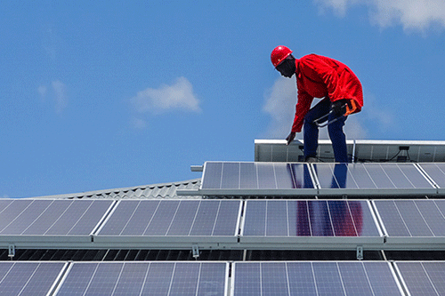 seed Top 30 entrepreneurs shortlisted for empowerment