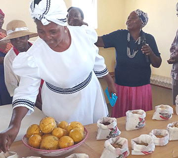 First-ever seed bank launched in Kavango West