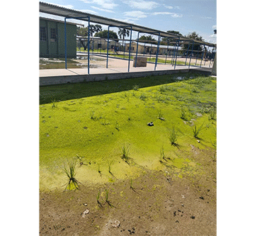 sewer 1 Sewage halts learning at Onesi