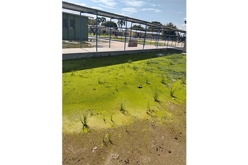 sewer 1 Sewage halts learning at Onesi