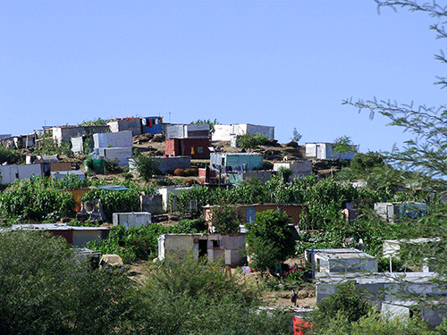 shack dwellers 1 Community housing group wins prestigious award