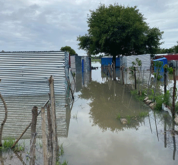 Vamwe mOngwediva otava nangala va londa molwa efundja